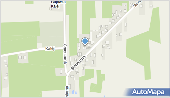 Hodowla Psów Błaszczyk Rafał, ul. Słoneczna 13, Szarlejka 42-130 - Przedsiębiorstwo, Firma, numer telefonu, NIP: 5730023476