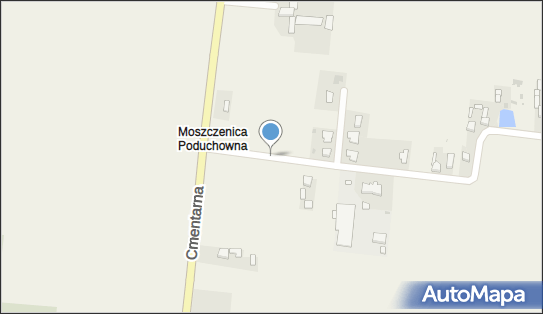 Hodowla Ryb Akwariowych Paweł Majewski, Moszczenica 6, Moszczenica 97-310 - Przedsiębiorstwo, Firma, NIP: 7712252960