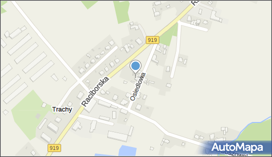 Horsi, Osiedlowa 4, Trachy 44-153 - Przedsiębiorstwo, Firma, NIP: 6381812429