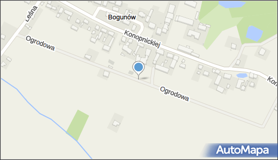Hortus, ul. Ogrodowa 16, Bogunów 55-020 - Przedsiębiorstwo, Firma, numer telefonu, NIP: 8991081422