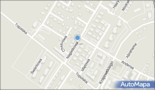 7861503002, Karolina Borek-Pohl HR Focus 