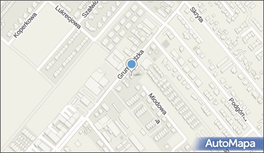 Hurt Detal, Grunwaldzka 522, Plewiska 62-064 - Przedsiębiorstwo, Firma, NIP: 7831197954