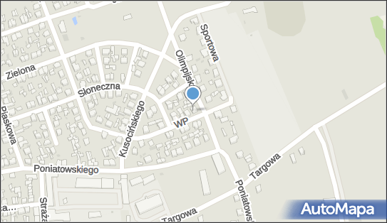 Hurtownia Artykułów Spożywczo Przemysłowych Black, Golina 62-590 - Przedsiębiorstwo, Firma, NIP: 6652191957