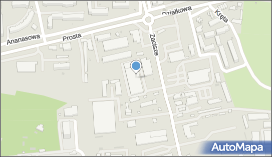 9291125218, Hurtownia Kwiatów Wioletta Kutrowska 