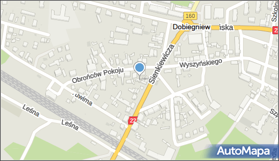 Hurtownia Mietek, ul. Sienkiewicza 8, Dobiegniew 66-520 - Przedsiębiorstwo, Firma, NIP: 5941039586