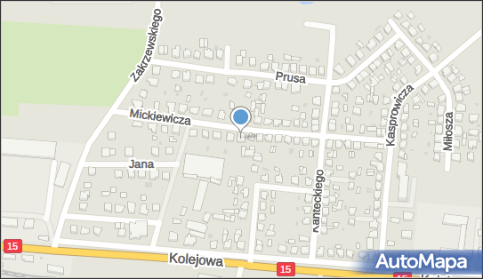 i.P.S.Paulina Stachweicz, ul. Adama Mickiewicza 23, Strzelno 88-320 - Przedsiębiorstwo, Firma, NIP: 5571667622