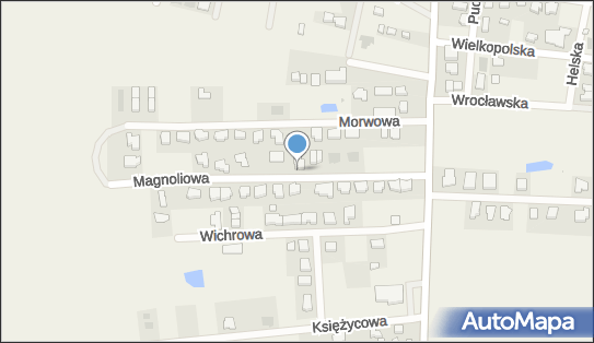 Ics Polska, ul. Magnoliowa 12, Mosty 81-198 - Przedsiębiorstwo, Firma, numer telefonu, NIP: 9581394866