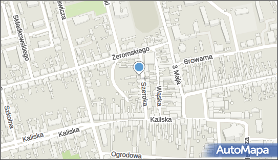 Iga Pietrzak, Szeroka 9, Turek 62-700 - Przedsiębiorstwo, Firma, NIP: 6681970055