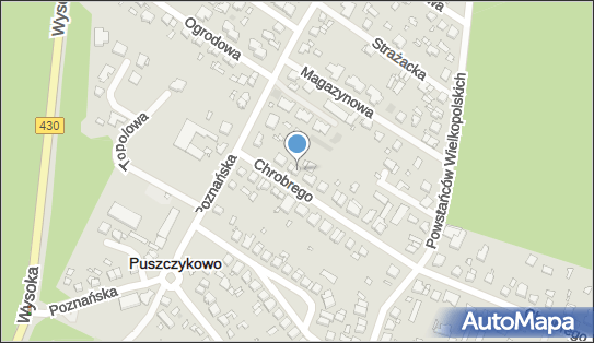 Iguana Krzysztof Chałupka, ul. Bolesława Chrobrego 5, Puszczykowo 62-040 - Przedsiębiorstwo, Firma, NIP: 7772173773