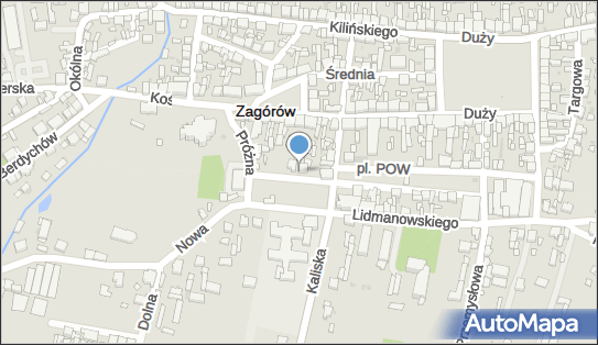 Import Eksport Auto Handel Samochody Powypadkowe i Auto Części 62-410 - Przedsiębiorstwo, Firma, NIP: 6671013027