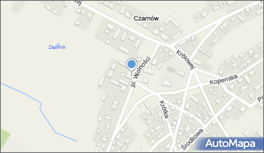 Import Export, Plac Wolności 13A, Czarnów 69-113 - Przedsiębiorstwo, Firma, NIP: 5981584516
