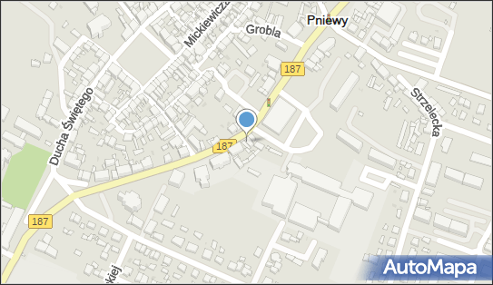 India Gate, Wolności 16, Pniewy 62-045 - Przedsiębiorstwo, Firma, NIP: 7820000250