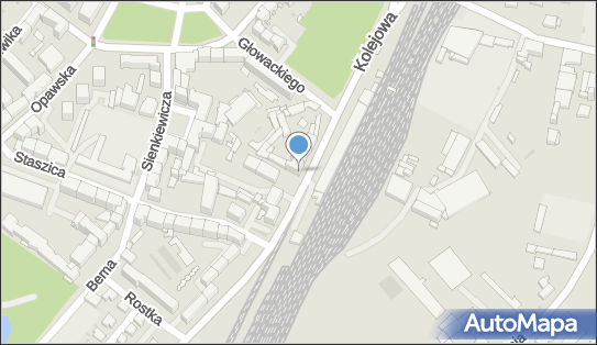 Indywid Specjal Praktyka Lekarska Lek Med Gabinet Akupunktury i Homeopatii 47-400 - Przedsiębiorstwo, Firma, NIP: 6391112828