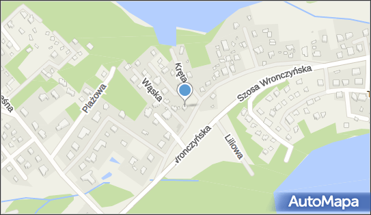 Indywidualna Praktyka Lekarska Piotr Gabryel, Wronczyńska 66 62-007 - Przedsiębiorstwo, Firma, NIP: 7772840494