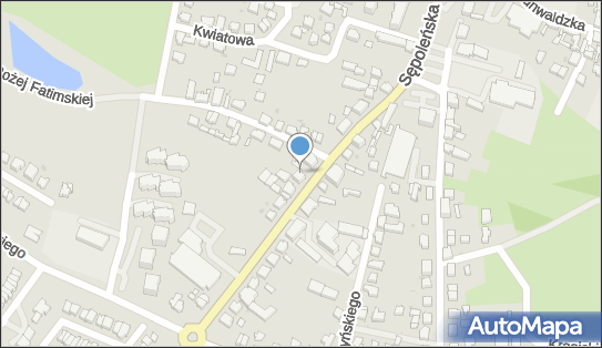 Indywidualna Praktyka Lekarska w Miejscu Wezwania, Chojnice 89-600 - Przedsiębiorstwo, Firma, NIP: 7842217910