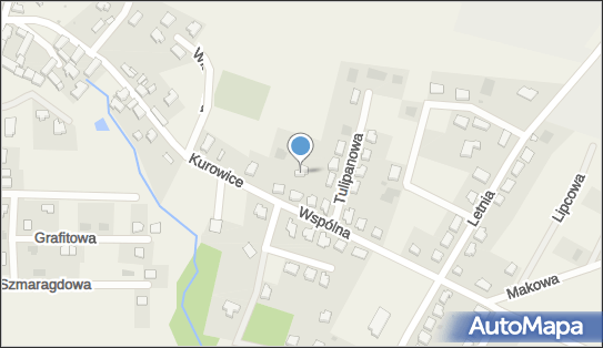 Indywidualna Praktyka Lekarska, Kurowice 76a, Kurowice 67-222 - Przedsiębiorstwo, Firma, numer telefonu, NIP: 6931852613