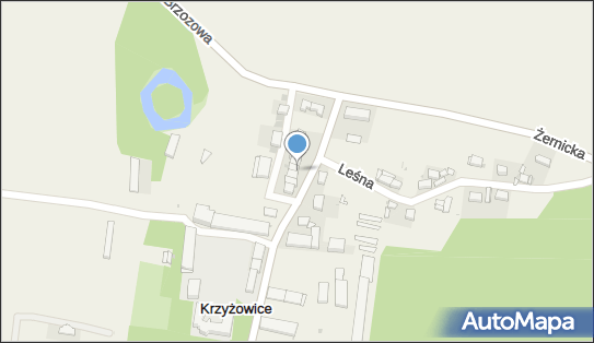 Indywidualna Praktyka Lekarska, ul. Główna 1F, Krzyżowice 55-040 - Przedsiębiorstwo, Firma, numer telefonu, NIP: 8992426900
