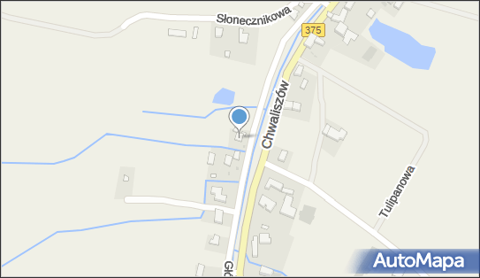 Indywidualna Praktyka Lekarska, ul. Główna 34C, Chwaliszów 58-312 - Przedsiębiorstwo, Firma, NIP: 8841070196