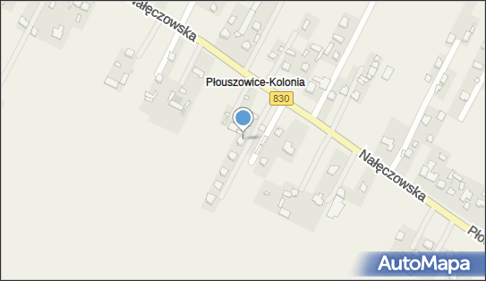 Indywidualna Praktyka Lekarska, Płouszowice-Kolonia 77E 21-008 - Przedsiębiorstwo, Firma, NIP: 9462530211