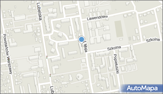 Indywidualna Praktyka Lekarska, ul. 1 Maja 59, Lubartów 21-100 - Przedsiębiorstwo, Firma, NIP: 7141672047