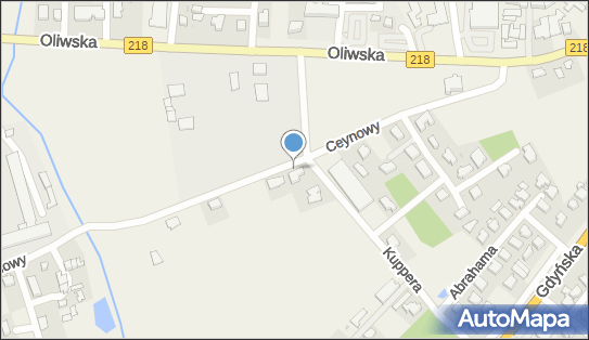 Indywidualna Praktyka Lekarska, ul. Ceynowy 7, Chwaszczyno 80-209 - Przedsiębiorstwo, Firma, NIP: 5891320050