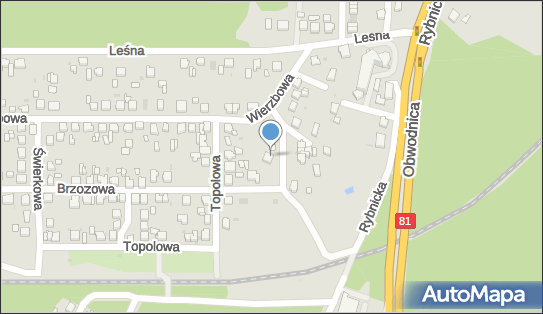 Indywidualna Praktyka Lekarska, Jesionowa 4, Łaziska Górne 43-170 - Przedsiębiorstwo, Firma, NIP: 6351143260