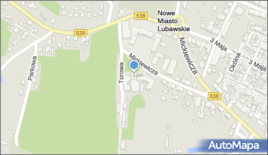 Indywidualna Praktyka Lekarska, ul. Mickiewicza 10 13-300 - Przedsiębiorstwo, Firma, NIP: 8771018798