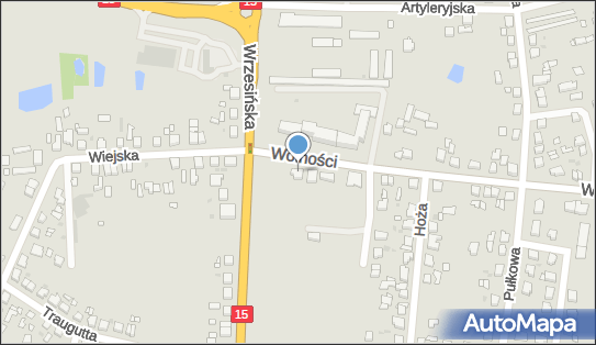 Indywidualna Praktyka Lekarska, ul. Wolności 4A, Gniezno 62-200 - Przedsiębiorstwo, Firma, NIP: 9720891078