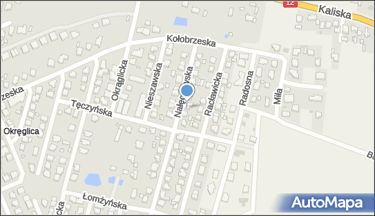 Indywidualna Praktyka Lekarska, Nałęczowska 14, Kalisz 62-800 - Przedsiębiorstwo, Firma, NIP: 6182019415