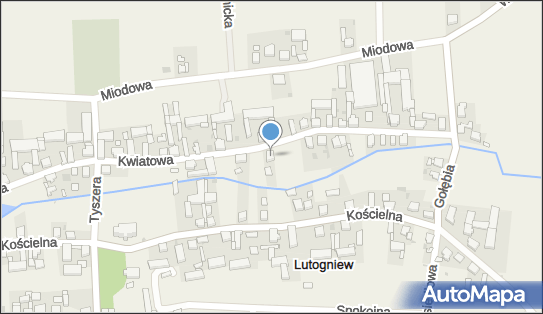 Indywidualna Praktyka Pielęgniarska, Kwiatowa 18, Lutogniew 63-700 - Przedsiębiorstwo, Firma, NIP: 6211032164