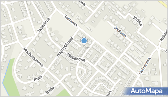 Indywidualna Praktyka Pielęgniarska, ul. Czubajkowa 6, Złotniki 62-002 - Przedsiębiorstwo, Firma, NIP: 9720231821