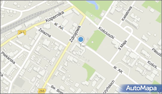 Indywidualna Praktyka Wertelecka Parkieta, al. Armii Krajowej 4 87-720 - Przedsiębiorstwo, Firma, NIP: 6151181037