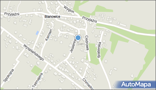 Indywidualna Specjalistyczna Praktyka Lekarska Chorób Wewnętrznych Wizyty Domowe 42-400 - Przedsiębiorstwo, Firma, NIP: 6491282783