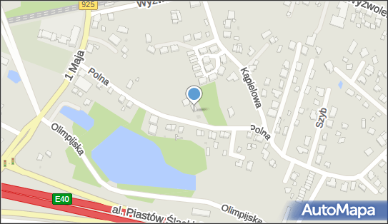 Indywidualna Specjalistyczna Praktyka Lekarska Dernes, Polna 21A 41-710 - Przedsiębiorstwo, Firma, NIP: 6411021521