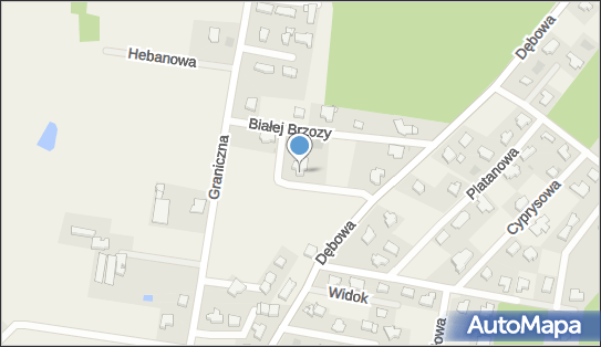 8511268966, Indywidualna Specjalistyczna Praktyka Lekarska dr n.Med.Iwona Nikodemska 