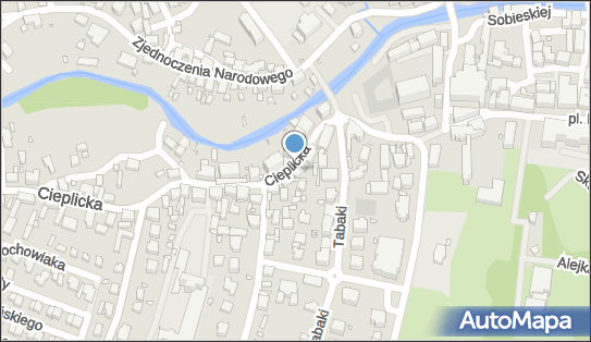 6111046586, Indywidualna Specjalistyczna Praktyka Lekarska Gabinet Ginekologiczny Piskozub Tomasz 