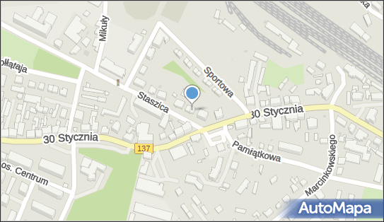 Indywidualna Specjalistyczna Praktyka Lekarska, ul. Staszica 4 66-300 - Przedsiębiorstwo, Firma, NIP: 5961146339