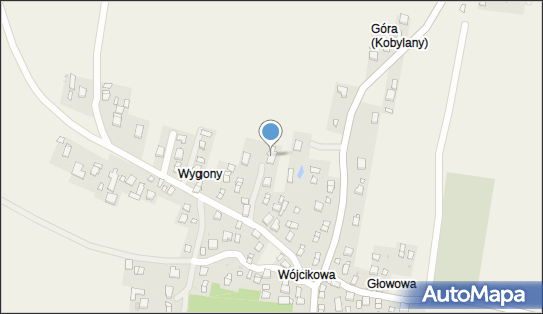 6841160231, Indywidualna Specjalistyczna Praktyka Lekarska Krystyna Perz 