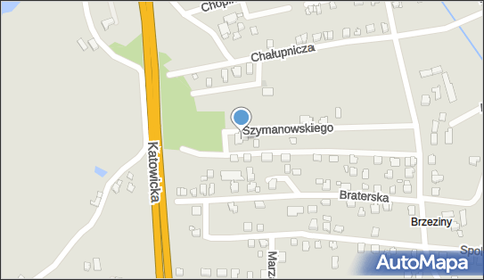 Indywidualna Specjalistyczna Praktyka Lekarska 43-502 - Przedsiębiorstwo, Firma, NIP: 6461137705