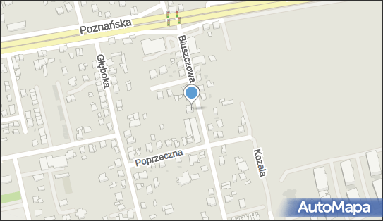 Indywidualna Specjalistyczna Praktyka Lekarska, Bluszczowa 4c 62-200 - Przedsiębiorstwo, Firma, numer telefonu, NIP: 7841416642