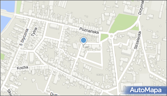 Indywidualna Specjalistyczna Praktyka Lekarska, Wodna 6, Wolsztyn 64-200 - Przedsiębiorstwo, Firma, numer telefonu, NIP: 9231223207