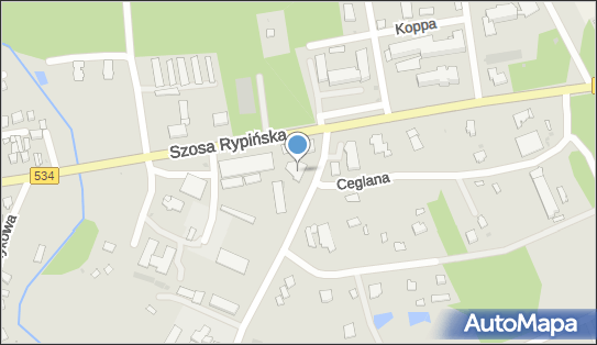 Indywidualna Wyjazdowa Praktyka Lekarska, ul. Szosa Rypińska 30C 87-400 - Przedsiębiorstwo, Firma, NIP: 9570839862