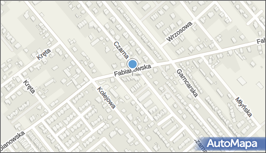 Infos, ul. Fabianowska 40, Plewiska 62-064 - Przedsiębiorstwo, Firma, NIP: 7831054798