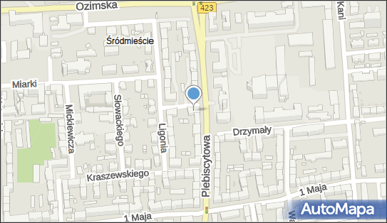 Inia Adamów Andrzej, ul. Bolesława Prusa 1, Opole 45-362 - Przedsiębiorstwo, Firma, NIP: 7542047958