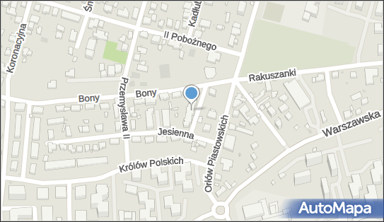 Innovati, ul. Mieszka Starego 11, Warszawa 02-496 - Przedsiębiorstwo, Firma, numer telefonu, NIP: 5223009153