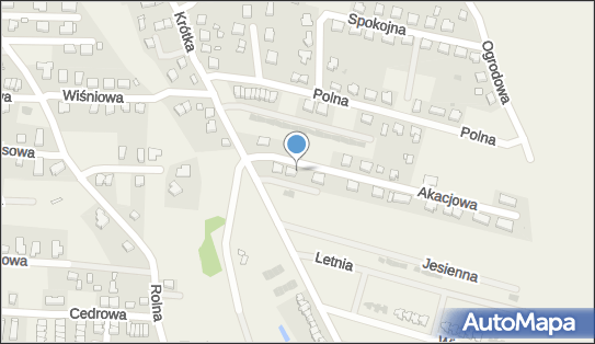 Insanit Piotr Pilichiewicz, Akacjowa 4, Dobrzykowice 55-002 - Przedsiębiorstwo, Firma, NIP: 8951662271