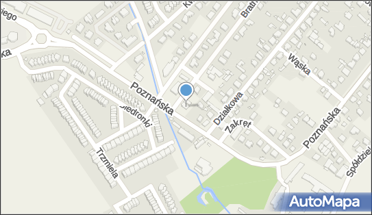 Instytut Odnowy Biologicznej, ul. Poznańska 4A, Skórzewo 60-185 - Przedsiębiorstwo, Firma, numer telefonu, NIP: 9720881878