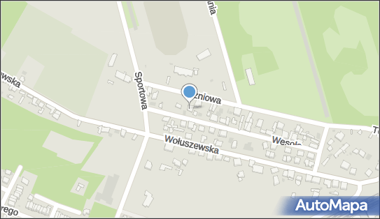 Inteldom Ewa Kierzkowska Stochmal, Wesoła 36, Ciechocinek 87-720 - Przedsiębiorstwo, Firma, NIP: 8911043863