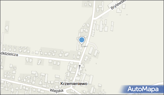 Intelekt Centrum Nauczania, ul. Dworcowa 29, Krzemieniewo 64-120 - Przedsiębiorstwo, Firma, numer telefonu, NIP: 6972180990