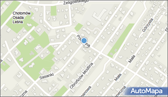 Intelle, ul. gen. Lucjana Żeligowskiego 27/3, Chotomów 05-123 - Przedsiębiorstwo, Firma, NIP: 8241012233